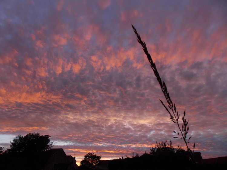 Photo illustration article 009-6037b9e98be2b.jpeg