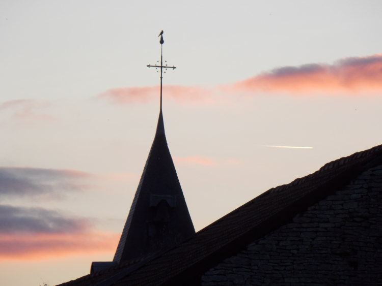 Photo illustration article 015-6037b9ed43443.jpeg