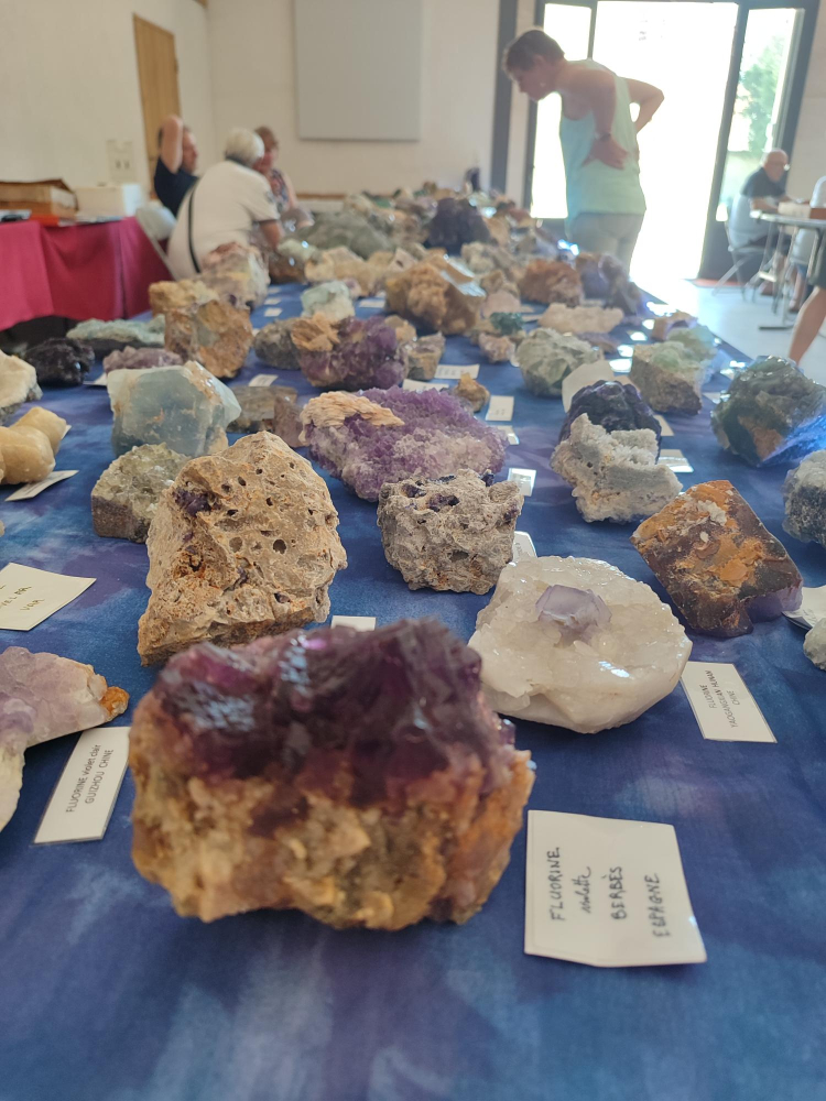 Photo illustration article 1750950079922-685d64053bd48.jpeg