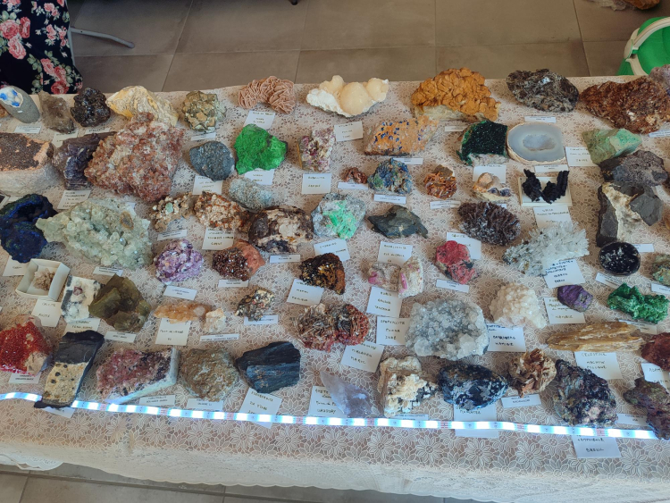 Photo illustration article 1750950118677-685d64053a685.jpeg