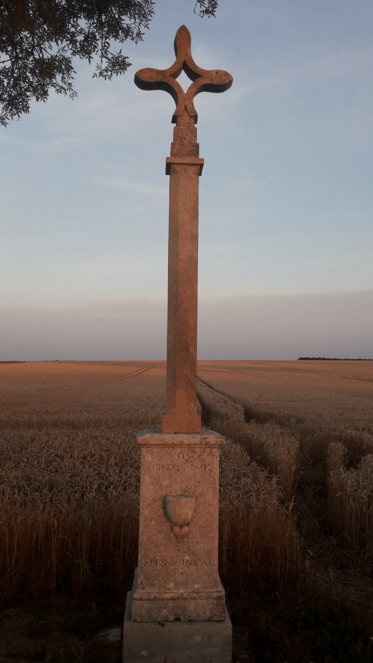 Photo illustration article 20190708-212339-60341d9a5c0ca.png