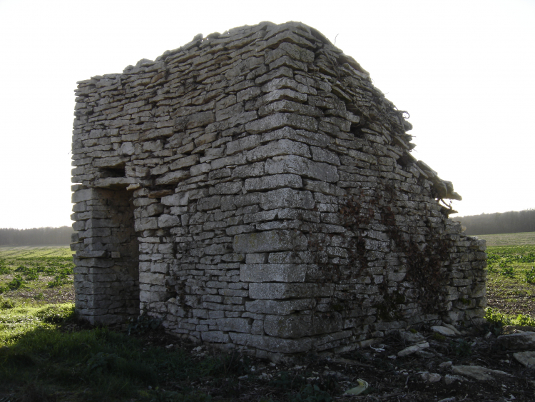 Photo illustration article DSC04263-603634abec933.jpeg