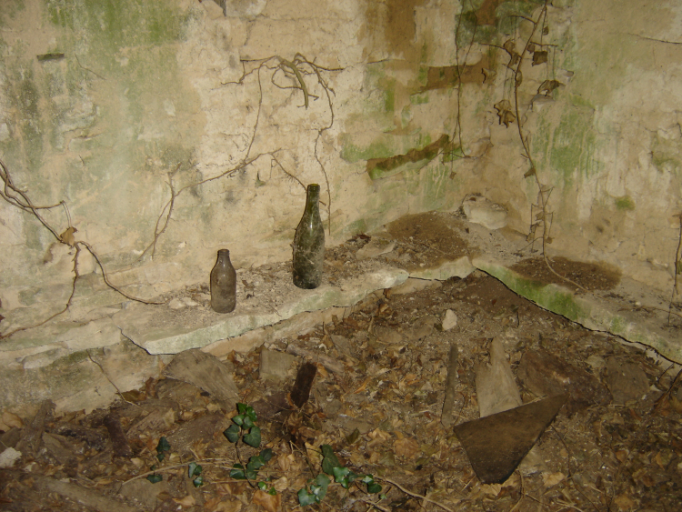 Photo illustration article DSC04281-603634ae11168.jpeg