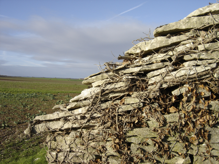 Photo illustration article DSC04284-603634b0336dc.jpeg