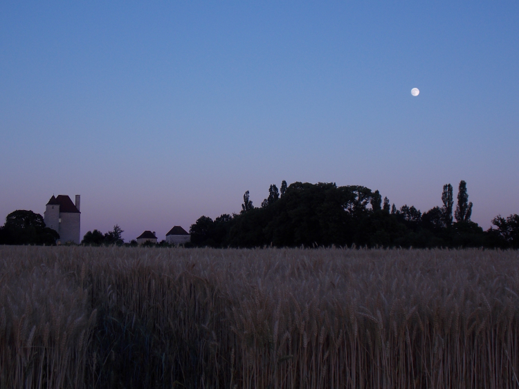 Photo illustration article DSCN4882-6037b9f030d70.jpeg