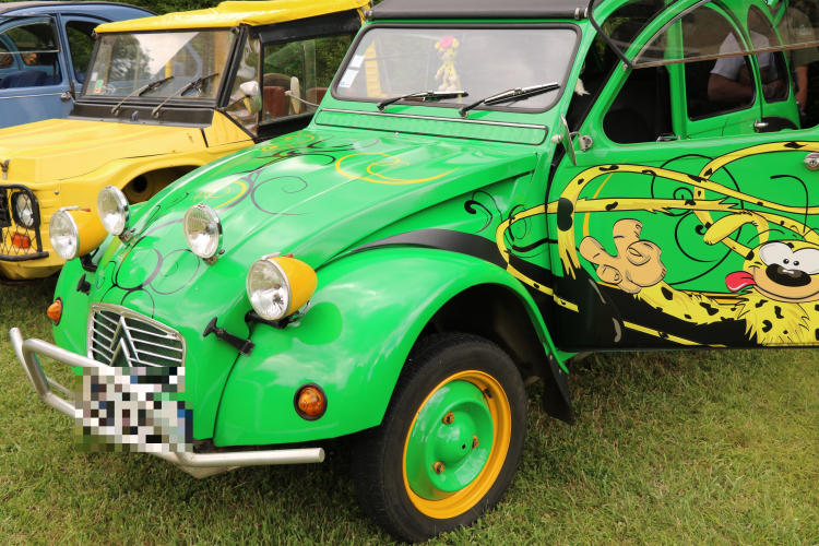 Photo illustration article IMG-4978-62cdbc2dafabd.jpeg