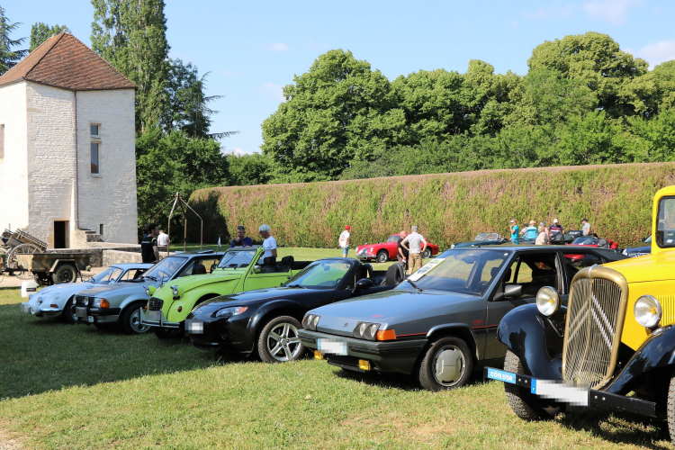 Photo illustration article IMG-5433-6522fcb4f2733.jpeg