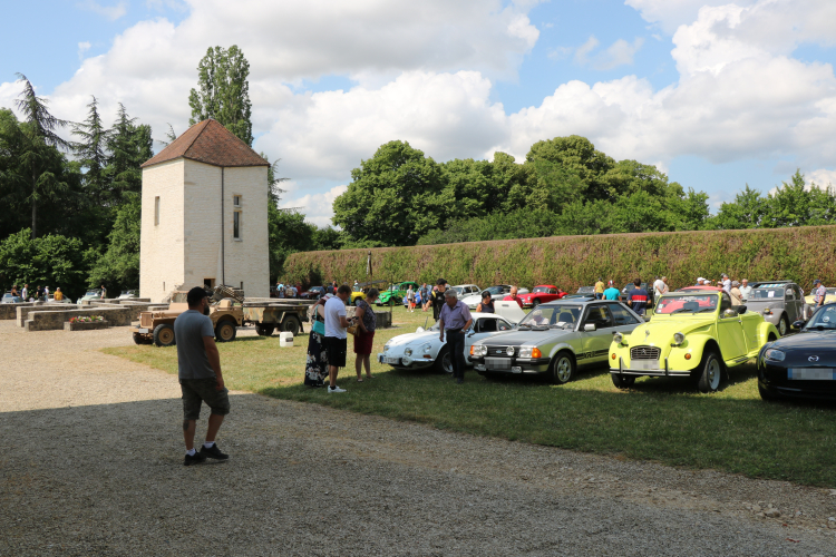 Photo illustration article IMG-5443-6522fcb4f3c67.jpeg