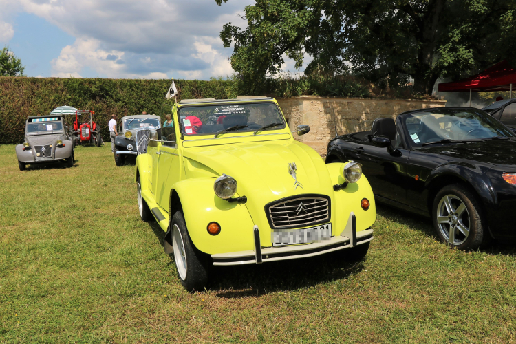 Photo illustration article IMG-5447-6522fcb502e43.jpeg