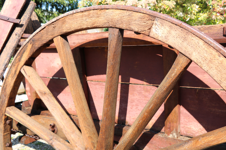 Photo illustration article IMG-7857-6824a32698e6f.jpeg