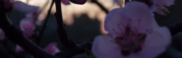 Image illustration article Et en 2021...